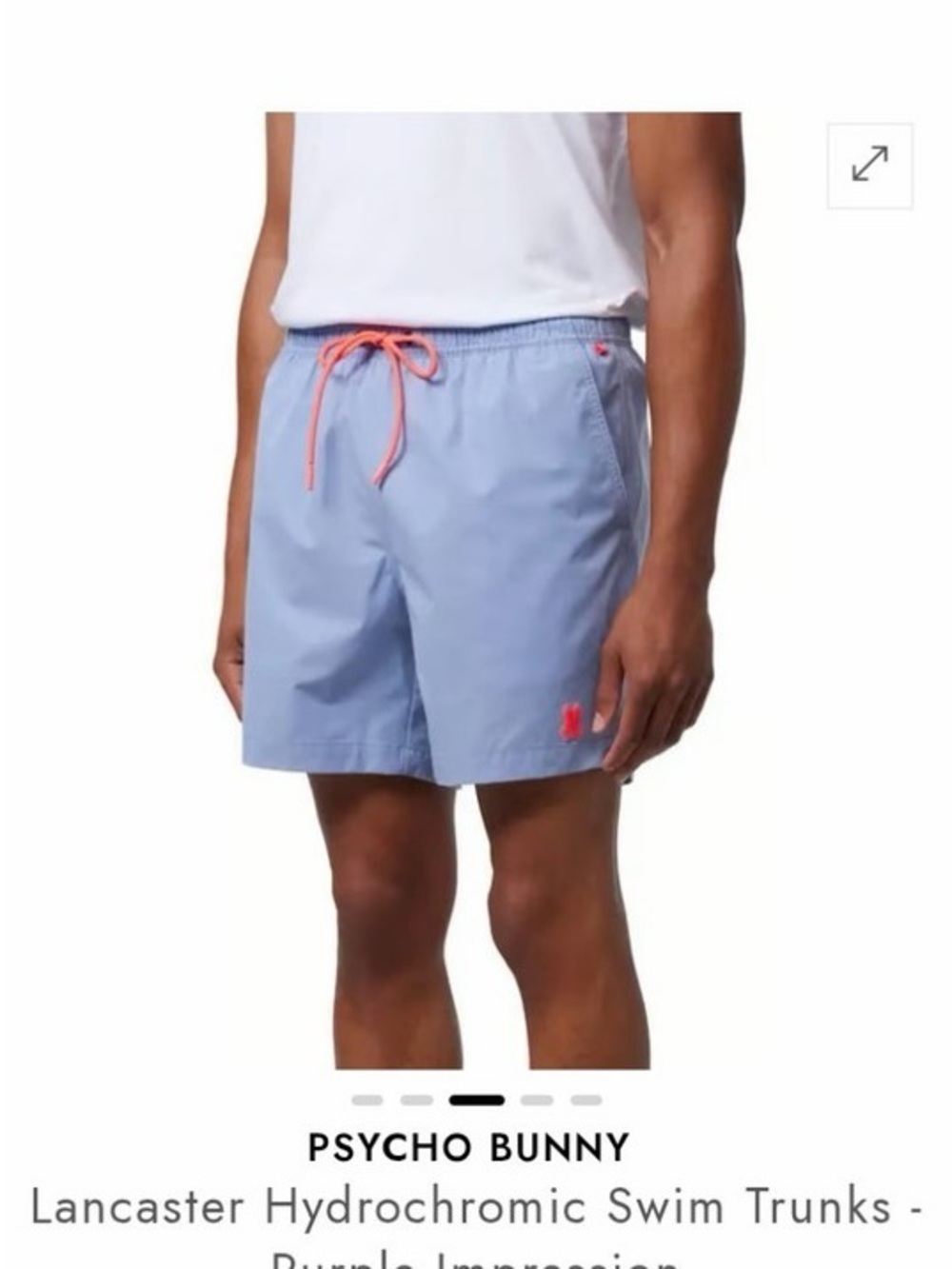 NWOT ~ Psycho Bunny Lancaster Hydrochromic Kids Swim Trunks Size 18-20/XL